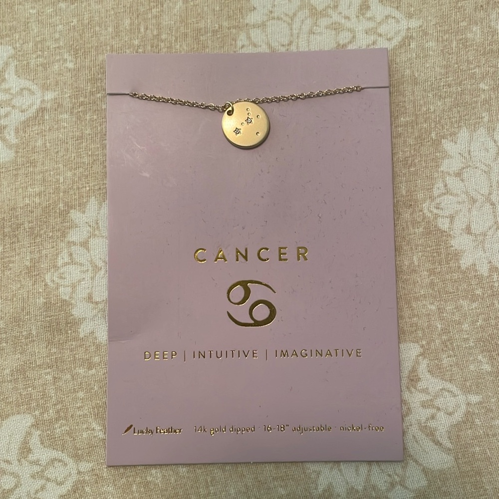 14k Gold Dipped Cancer Necklace
